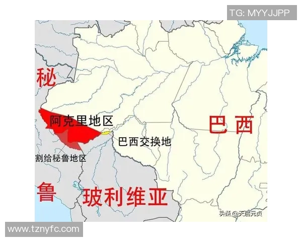 巴西对阵秘鲁精彩赛事回顾CCTV5全程直播盛况分析